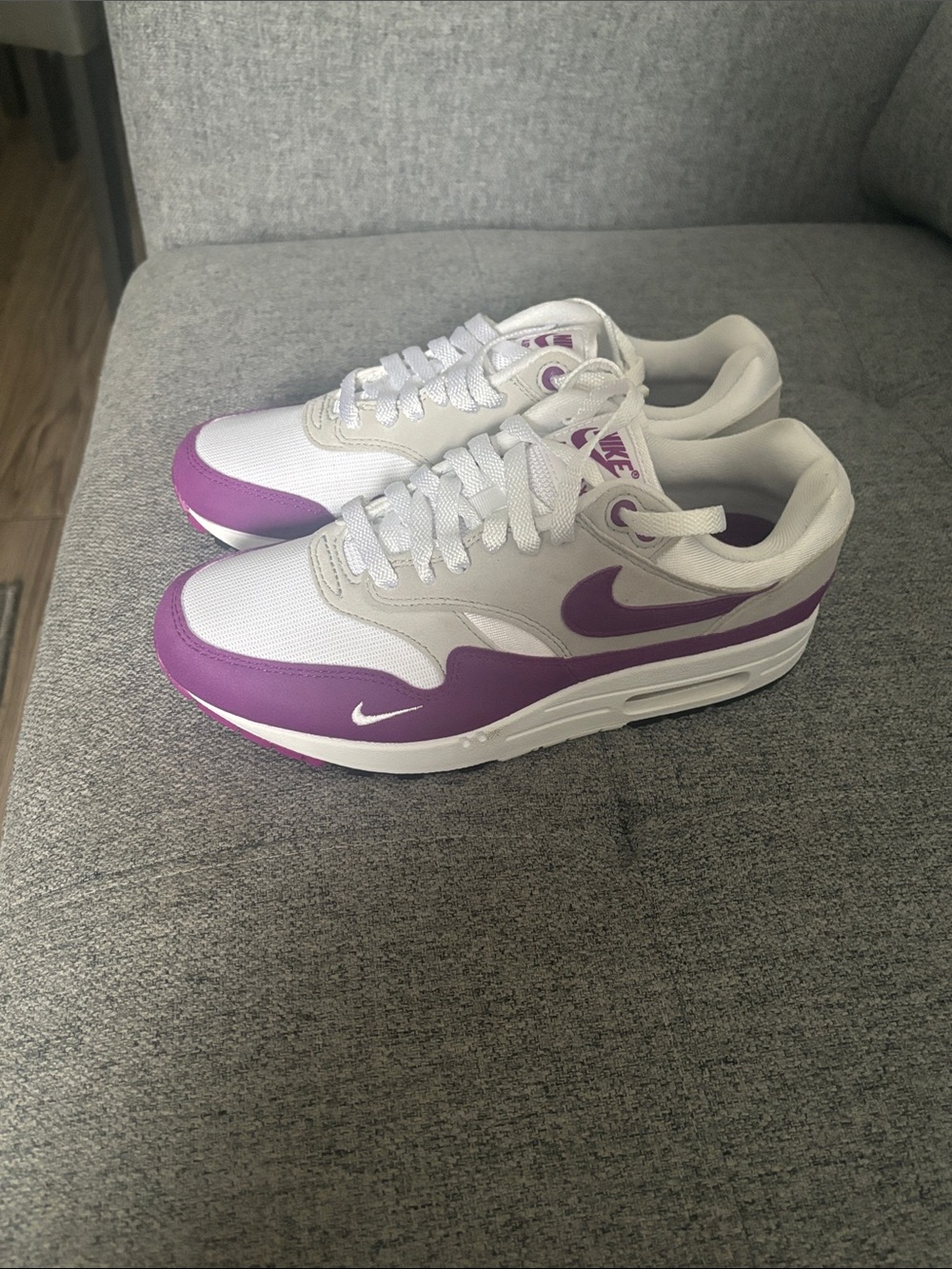 Brand new and never worn Nike Air Max 1 ‘87